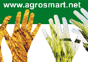 Portal Agrosmart